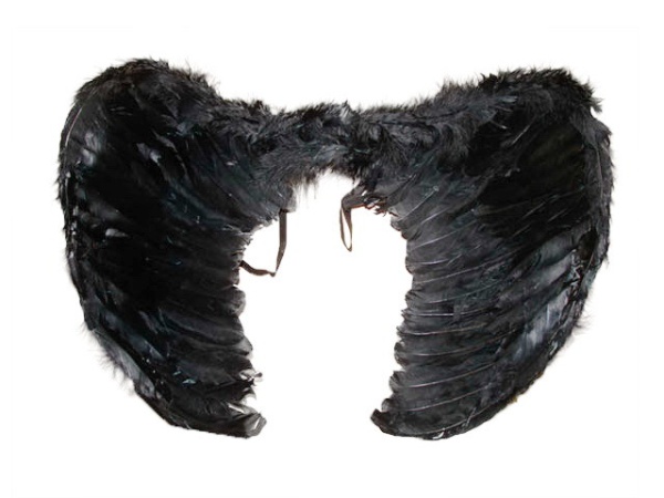 Крылья перьевые черные 45х33 - интернет-магазин карнавальных костюмов ВМАСКАХ.РФ