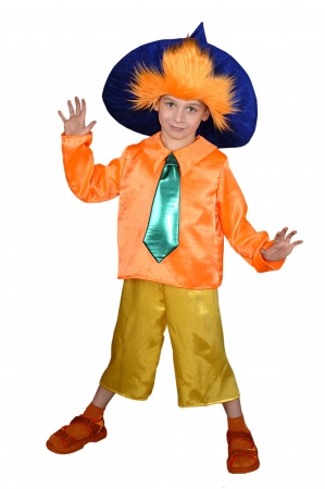 Карнавальный костюм детский Незнайка - интернет-магазин карнавальных костюмов ВМАСКАХ.РФ
